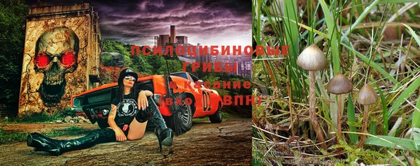 спайс Беломорск