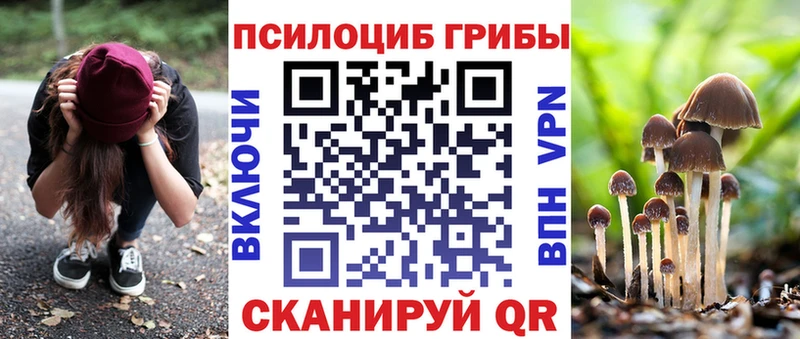 Псилоцибиновые грибы Magic Shrooms  сколько стоит  Вуктыл 